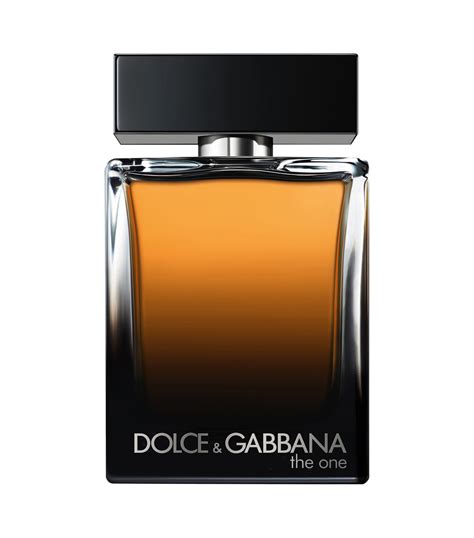 dolce gabbana the one herren|dolce e gabbana the one.